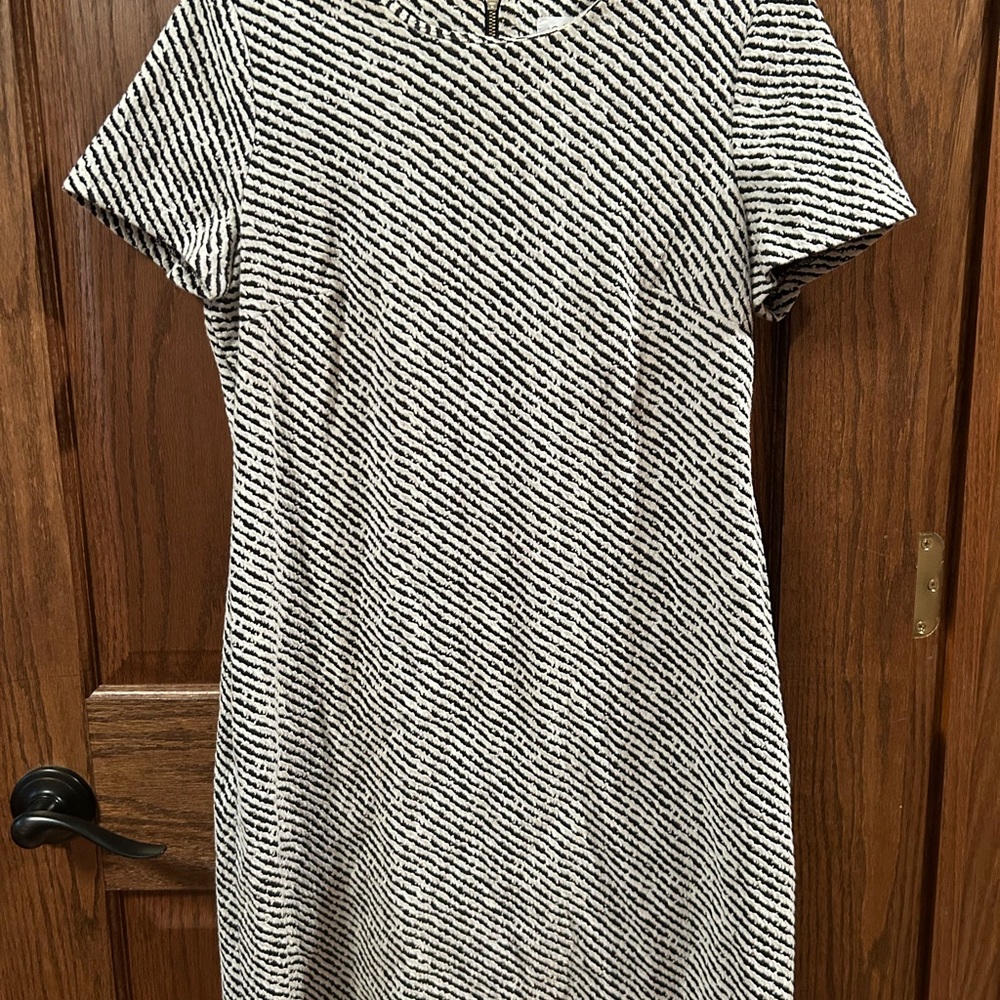 Striped Black and White Women's Dress